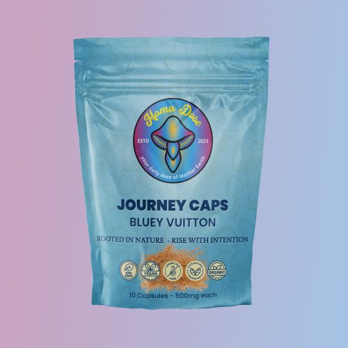 Journey Caps Bluey Vuitton