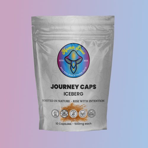 Iceberg Journey Caps